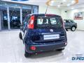 FIAT PANDA 1.0 FireFly S&S Hybrid EASY