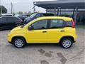 FIAT Panda 1.0 firefly hybrid s&s 70cv