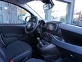 FIAT PANDA CROSS 1.0 FireFly CROSS X NEOPATENTATI