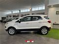 FORD ESCORT 1.5 TDCi 95 CV Business