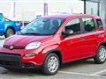 FIAT PANDA 1.0 FireFly S&S Hybrid Pandina