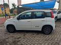 FIAT PANDA 1.2 K-Way