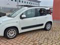 FIAT PANDA 1.2 Easy  40.000  Km  Az. Italia Euro 6b