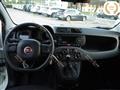 FIAT PANDA 1.2 EasyPower Easy