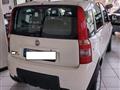 FIAT PANDA 1.2 4x4 Climbing