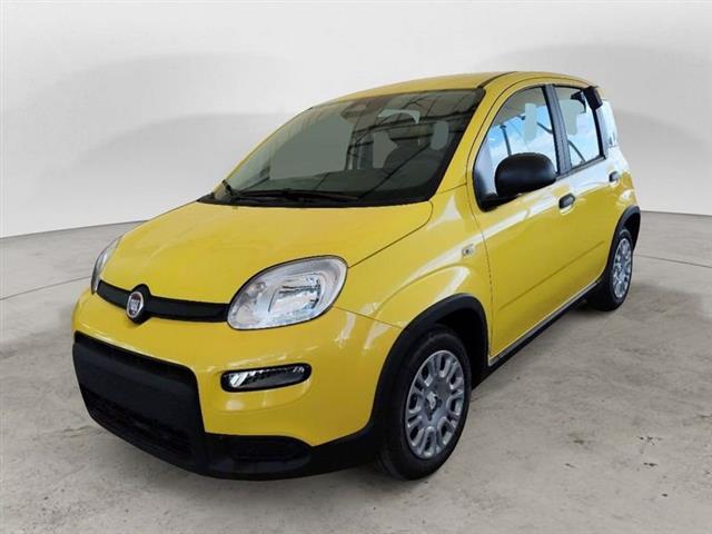 FIAT PANDA 1.0 FireFly S&S Hybrid Pandina