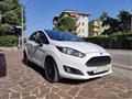 FORD FIESTA black and white