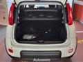 FIAT PANDA 1.0 FireFly S&S Hybrid Pandina