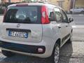 FIAT PANDA 0.9 TwinAir Natural Power Easy