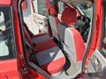 FIAT PANDA 1.2 Climbing 4x4 OK NEO PATENTATO