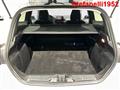 FORD FIESTA VAN 1.5 TDCi 85 CV 3 porte Van Trend