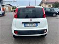 FIAT PANDA VAN 1.3 MJT 80CV VAN N1 EU6 2 posti - FT815AC