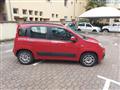 FIAT PANDA VAN 1.3 Multijet 75 CV NEOPATENTATI