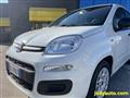 FIAT PANDA 1.0 FireFly S&S Hybrid OK NEOPATENTATI