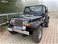 JEEP WRANGLER 4.0 cat Hard top (EU)