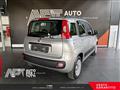 FIAT PANDA 1.2 Lounge 69cv