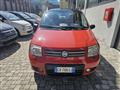 FIAT PANDA 1.2 Climbing 4x4 OK NEO PATENTATO