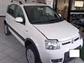 FIAT PANDA 1.2 4x4 Climbing