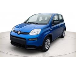 FIAT Panda 1.0 firefly hybrid s&s 70cv PREZZO REALE