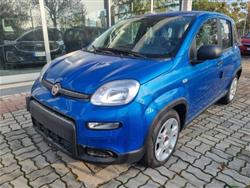 FIAT Panda 1.0 firefly hybrid s&s 70cv PREZZO REALE