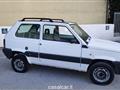 FIAT PANDA 1100 i.e. cat 4x4 Trekking