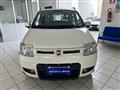 FIAT PANDA 1.3 MJT 16V DPF 4x4 Climbing