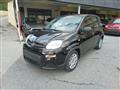 FIAT PANDA 1.0 Pandina Hybrid NUOVA - INCENTIVI EURO 0-1-2-3