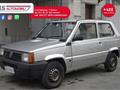 FIAT PANDA 1100 i.e. cat Young