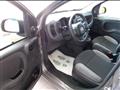 FIAT PANDA 1.0 firefly hybrid 70cv 5 posti