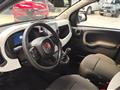 FIAT PANDA 1.0 FireFly S&S Hybrid Pandina