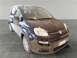 FIAT PANDA 1.0 FireFly S&S Hybrid Pandina