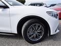 ALFA ROMEO Stelvio 2.2 T.diesel 160CV AT8 RWD Bus.