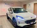 FORD KUGA 1.5 EcoBlue 120 CV aut. 2WD Titanium Business