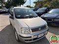 FIAT PANDA 1.2 Dynamic OK NEO PATENTATI