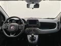 FIAT PANDA 1.0 FireFly S&S Hybrid City Life CAR PLAY+5 POSTI