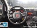 FIAT PANDA 1.2 69cv S&S Pop E6D-temp