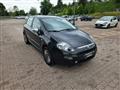 FIAT PUNTO neopatentati RATE TASSO 0