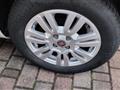 FIAT PUNTO 1.3 MJT II 75 CV 5 porte Street