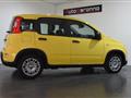 FIAT PANDA 1.0 FireFly S&S Hybrid Pandina