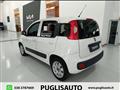 FIAT PANDA 1.3 MJT 80 CV S&S Easy