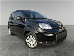 FIAT PANDA 1.0 FireFly S&S Hybrid Pandina