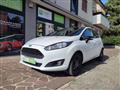 FORD FIESTA black and white