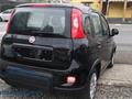 FIAT PANDA 1.0 Hybrid Pandina KM ZERO