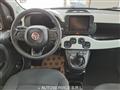 FIAT PANDA 1.0 FireFly S&S Hybrid Pandina