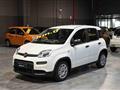 FIAT PANDA Hybrid 1.0 70cv