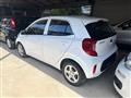 KIA PICANTO 1.0  5 porte Active 67CV