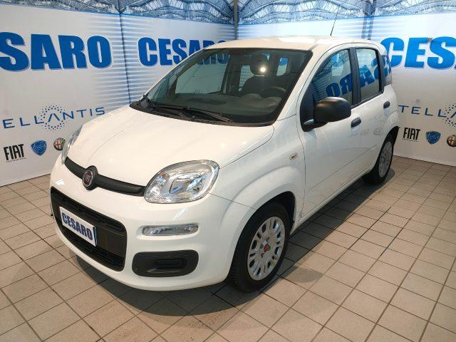 FIAT PANDA CROSS 1.0 firefly hybrid 70cv 5 posti