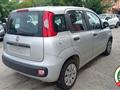 FIAT PANDA 1.2 Easy Climatizzata Neo Patentati