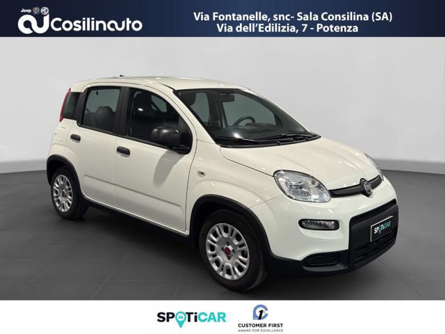 FIAT PANDA 1.0 FireFly S&S Hybrid City Life MY23
