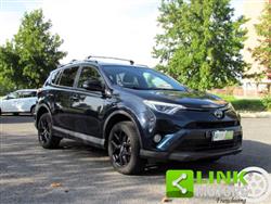 TOYOTA RAV4 2.5 Hybrid 2WD Lounge